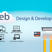 web development project